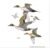 WECDEC Sharing the River by Al AGnew Limited Edition Art Print Pintails_1