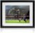 Andres Iniesta Signed Barcelona Soccer Photo: Final Goal. Framed