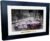 12×8 A4 Alex Bowman 2024 Chicago Win NASCAR Cup Series No. 48 Chevrolet Camaro ZL1 for Hendrick Motorsports Signed Autographed Signature Photo Photograph Picture Frame Poster Celebration Gift