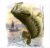 WECDEC Sharing the River by Al AGnew Limited Edition Art Print Prime Time