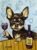 chihuahua at the wine bar – 8×10 signed art print on heavywieght matte paper