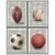 Basketball, Baseball, Football, Soccer, Futbol Wall Art Set – Gift or Home Decor for Boys Bedroom, Teens Room, Men, Game Room, Sports Bar, Bedroom, Man Cave – Unique Decoration Poster Print, 8×10